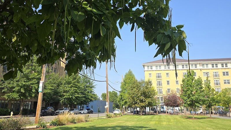 Judy Guse-Noritake Park - Alexandria, VA