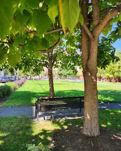 Judy Guse-Noritake Park - Alexandria, VA