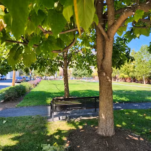 Judy Guse-Noritake Park - Alexandria, VA