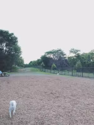 Ben Brenman Dog Park - Alexandria, VA