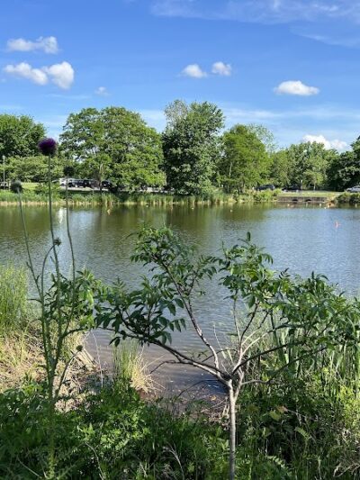 Ben Brenman Park - Alexandria, VA