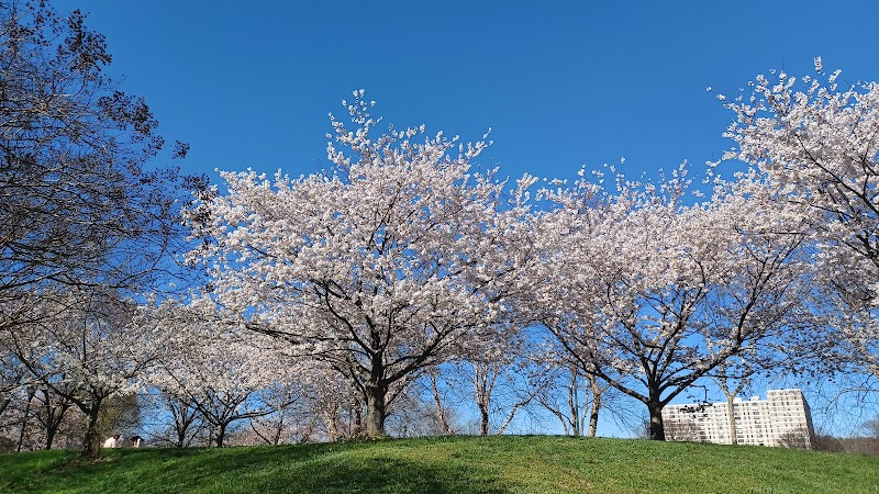 Ben Brenman Park - Alexandria, VA