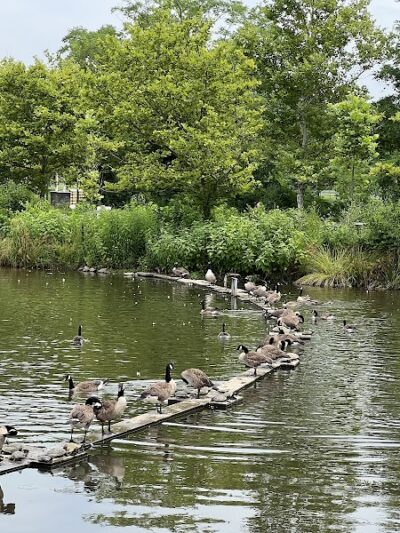 Ben Brenman Park - Alexandria, VA