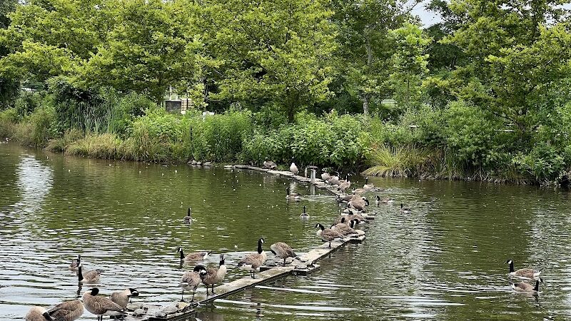 Ben Brenman Park - Alexandria, VA