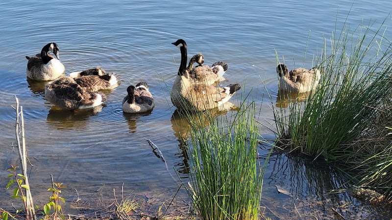 Ben Brenman Park - Alexandria, VA