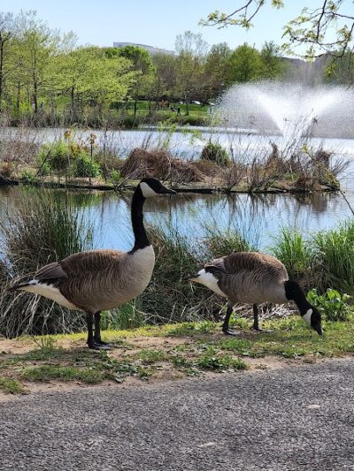 Ben Brenman Park - Alexandria, VA