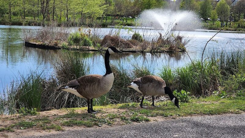 Ben Brenman Park - Alexandria, VA