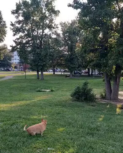 Ben Brenman Park - Alexandria, VA