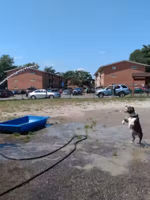 Blackjack Dog Park - Alexandria, VA