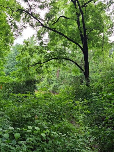 Bren Mar Park - Alexandria, VA