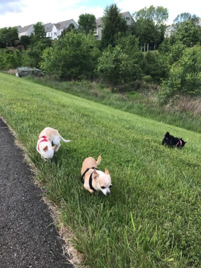 Bren Mar Park - Alexandria, VA
