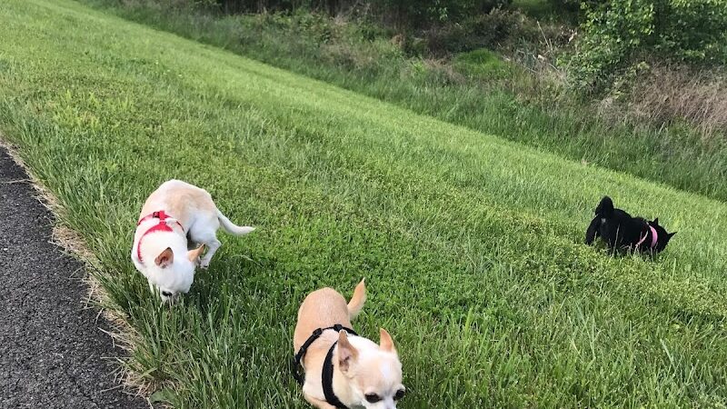 Bren Mar Park - Alexandria, VA