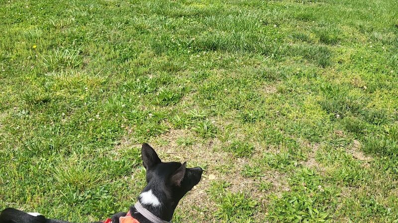 Chambliss Park - Alexandria, VA