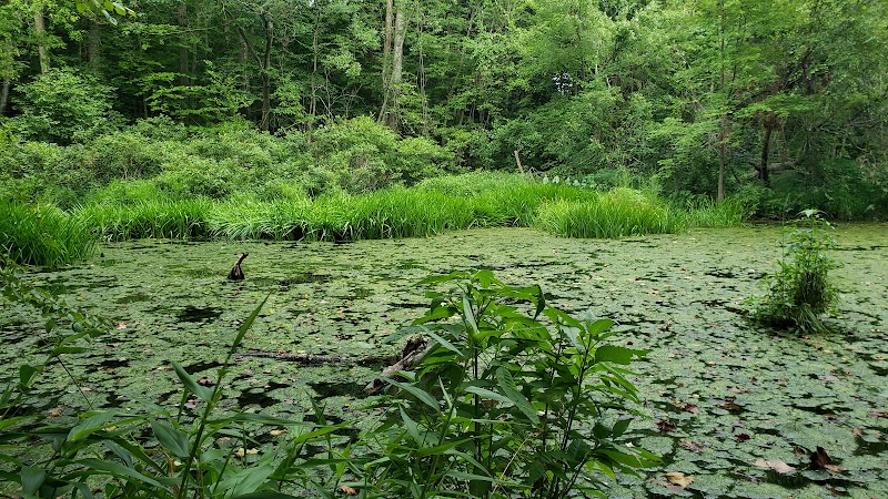 Chambliss Park - Alexandria, VA