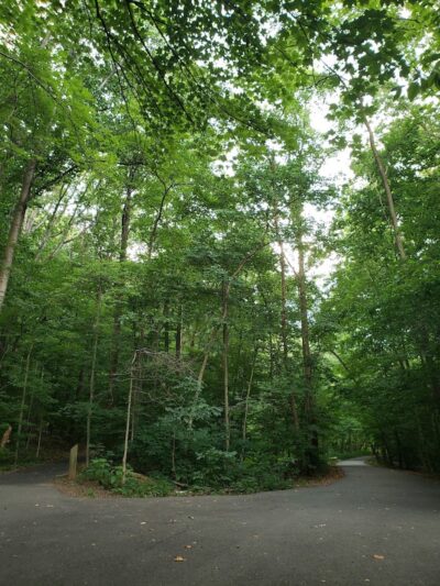 Chambliss Park - Alexandria, VA