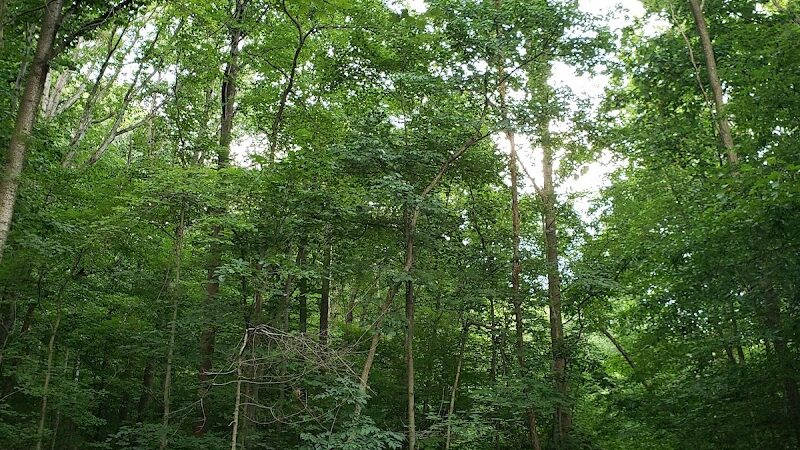 Chambliss Park - Alexandria, VA