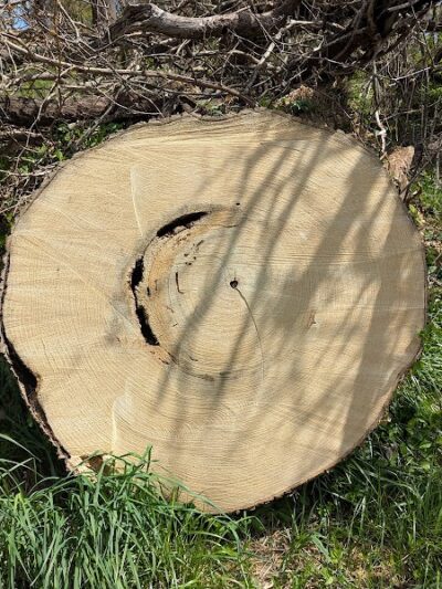 Chambliss Park - Alexandria, VA