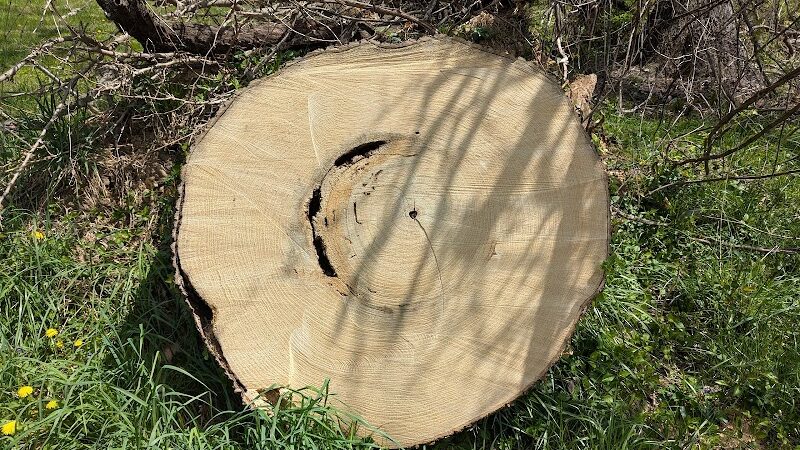 Chambliss Park - Alexandria, VA