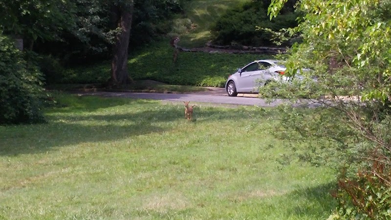 Chambliss Park - Alexandria, VA