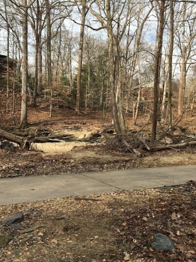 Dora Kelley Nature Park - Alexandria, VA