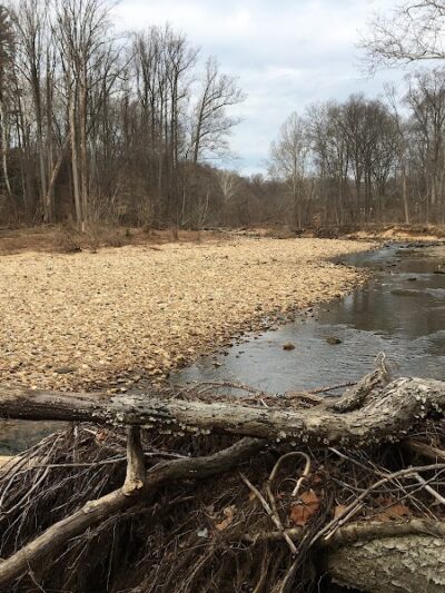 Dora Kelley Nature Park - Alexandria, VA