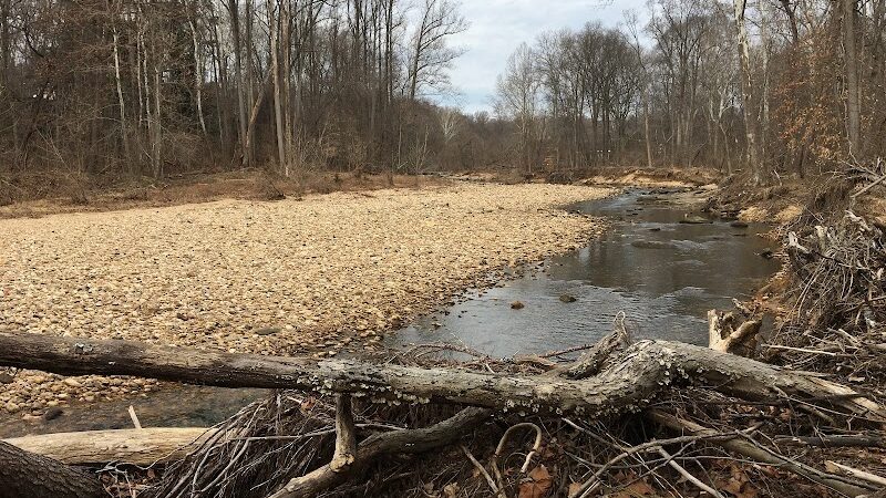 Dora Kelley Nature Park - Alexandria, VA