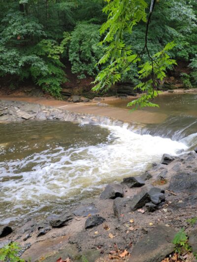 Dora Kelley Nature Park - Alexandria, VA