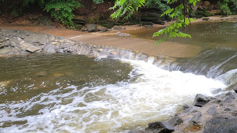 Dora Kelley Nature Park - Alexandria, VA