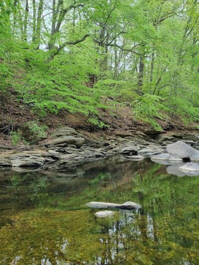 Dora Kelley Nature Park - Alexandria, VA