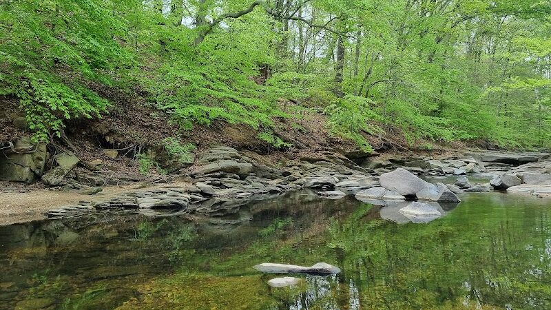 Dora Kelley Nature Park - Alexandria, VA
