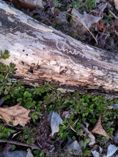 Dowden Terrace Park - Alexandria, VA