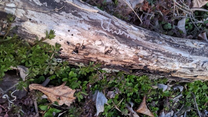 Dowden Terrace Park - Alexandria, VA