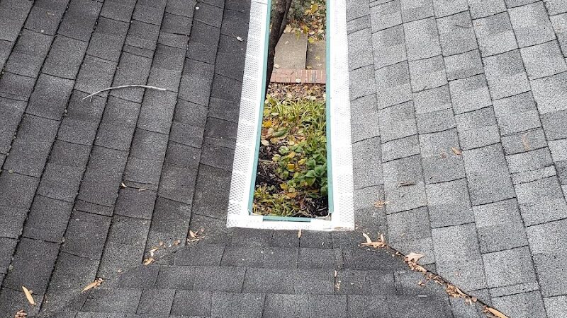 Dowden Terrace Park - Alexandria, VA