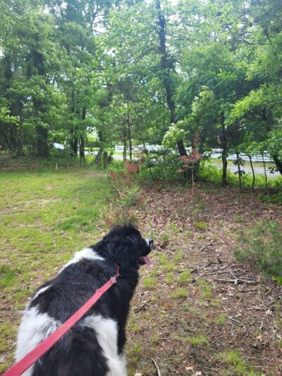 Dowden Terrace Park - Alexandria, VA