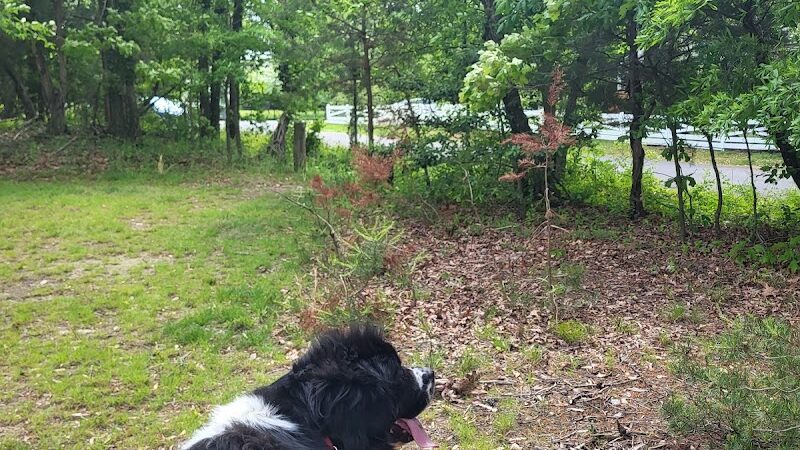 Dowden Terrace Park - Alexandria, VA