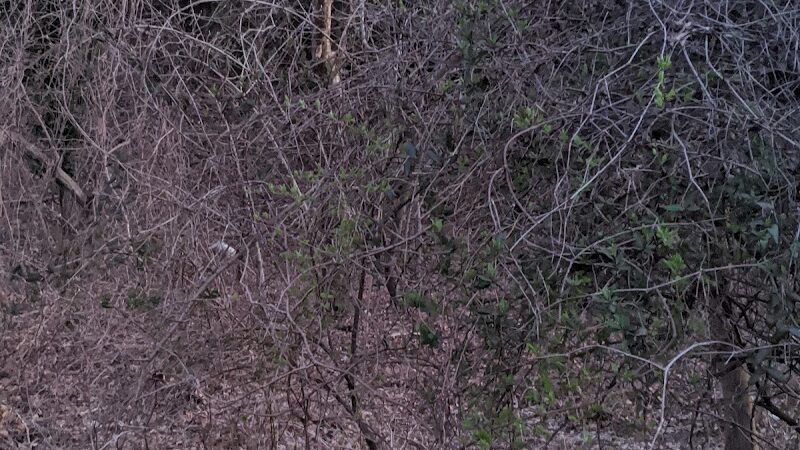 Dowden Terrace Park - Alexandria, VA