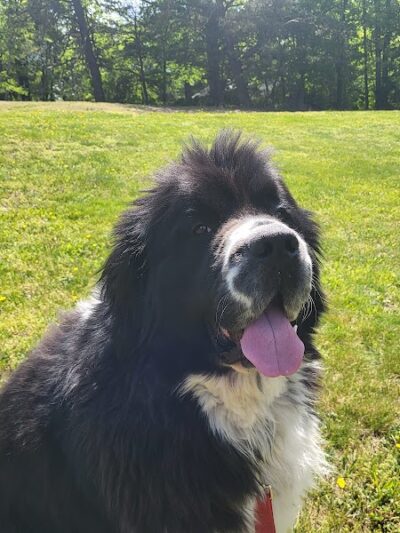 Dowden Terrace Park - Alexandria, VA