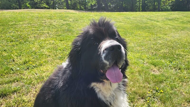 Dowden Terrace Park - Alexandria, VA