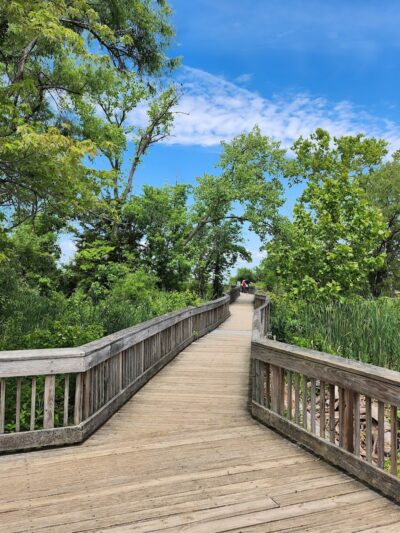 Dyke Marsh Wildlife Preserve - Alexandria, VA