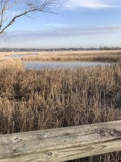 Dyke Marsh Wildlife Preserve - Alexandria, VA