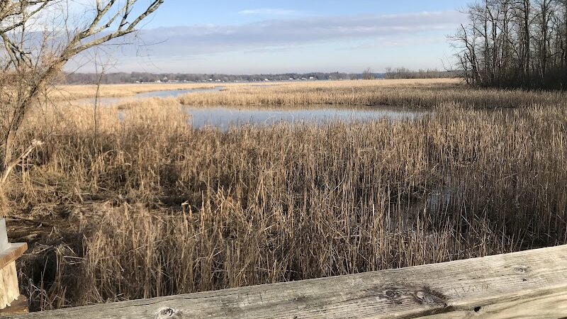 Dyke Marsh Wildlife Preserve - Alexandria, VA