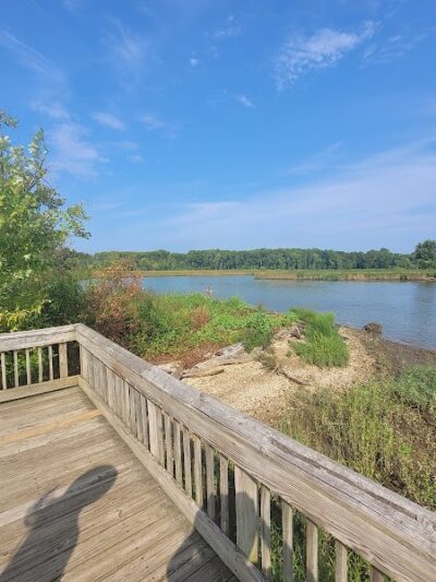 Dyke Marsh Wildlife Preserve - Alexandria, VA