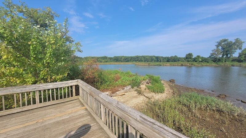 Dyke Marsh Wildlife Preserve - Alexandria, VA