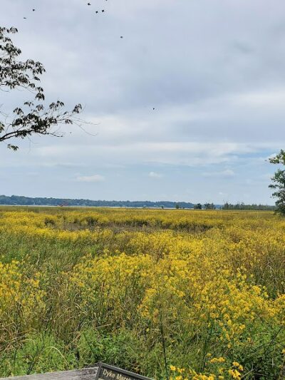 Dyke Marsh Wildlife Preserve - Alexandria, VA