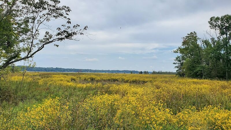 Dyke Marsh Wildlife Preserve - Alexandria, VA