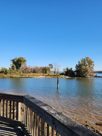 Dyke Marsh Wildlife Preserve - Alexandria, VA