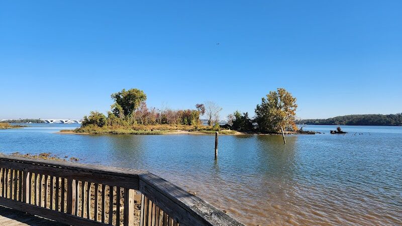 Dyke Marsh Wildlife Preserve - Alexandria, VA