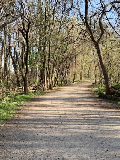 Dyke Marsh Wildlife Preserve - Alexandria, VA