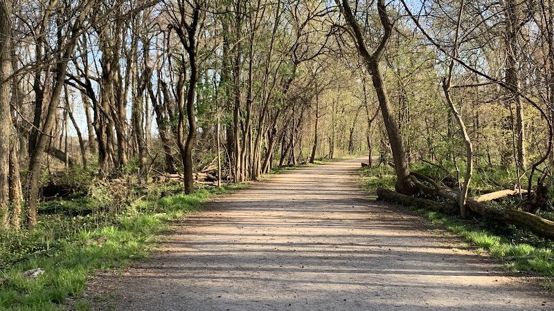 Dyke Marsh Wildlife Preserve - Alexandria, VA