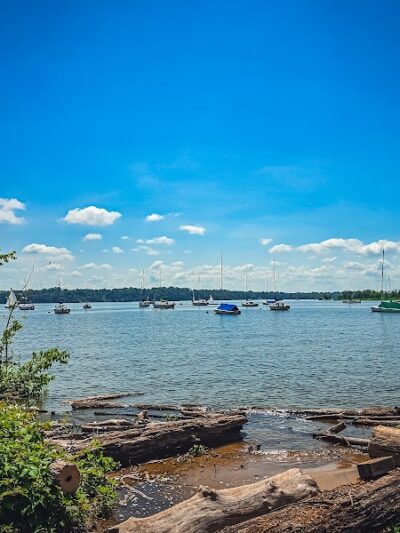 Dyke Marsh Wildlife Preserve - Alexandria, VA